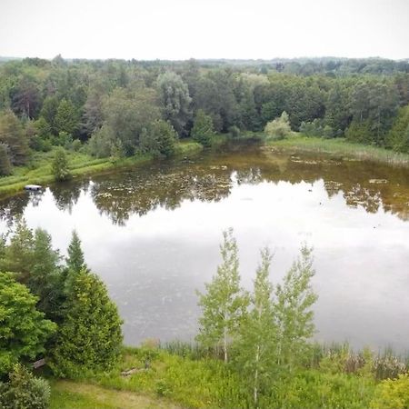 Cottage Retreat On 11 Acres Flesherton Buitenkant foto
