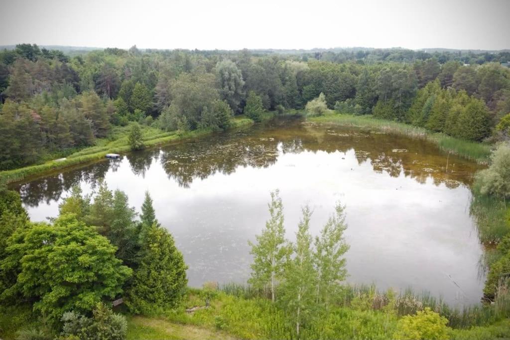 Cottage Retreat On 11 Acres Flesherton Buitenkant foto